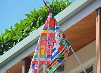 Combien y a-t-il de niveaux dans Duolingo ?